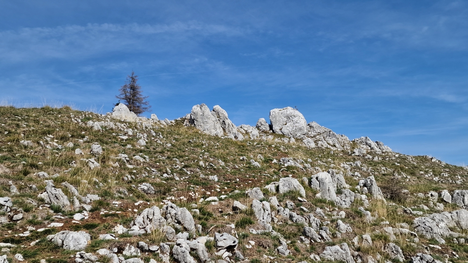 Pointe de Fin Château – Gingins – Vaud – Suisse