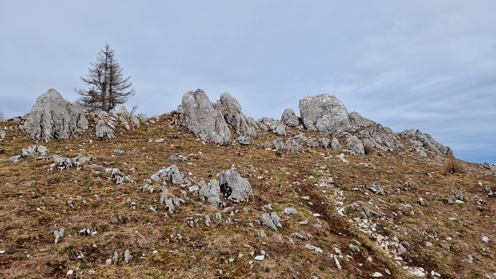 Pointe de Fin Château – Gingins – Vaud – Suisse