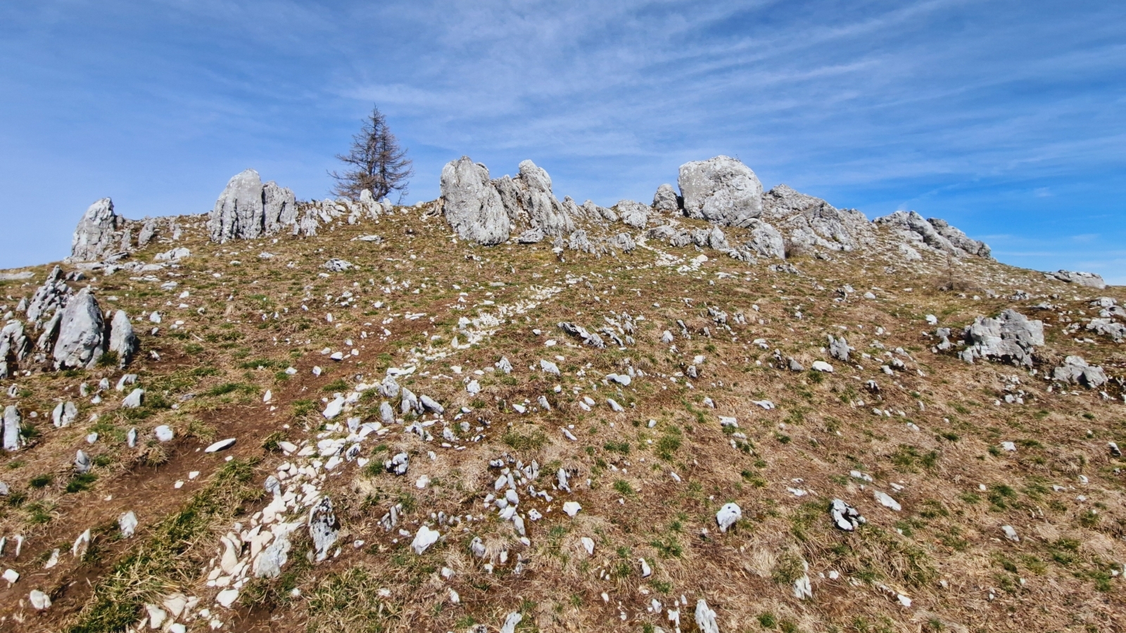 Pointe de Fin Château – Gingins – Vaud – Suisse