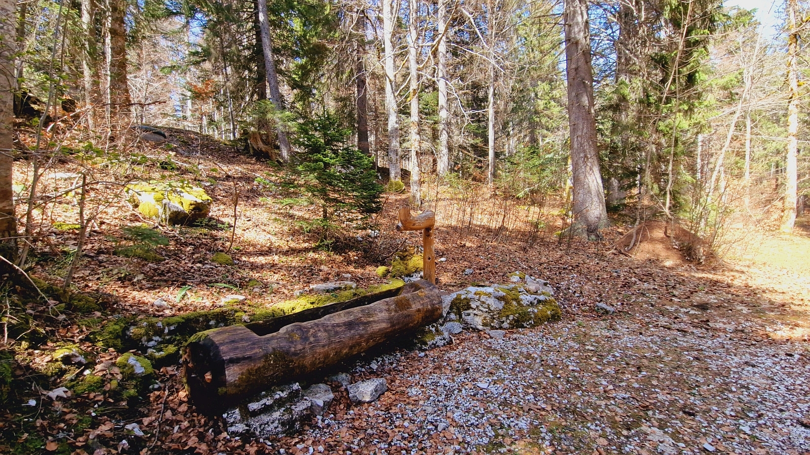 Fontaine Valier – Saint-George – Vaud – Suisse