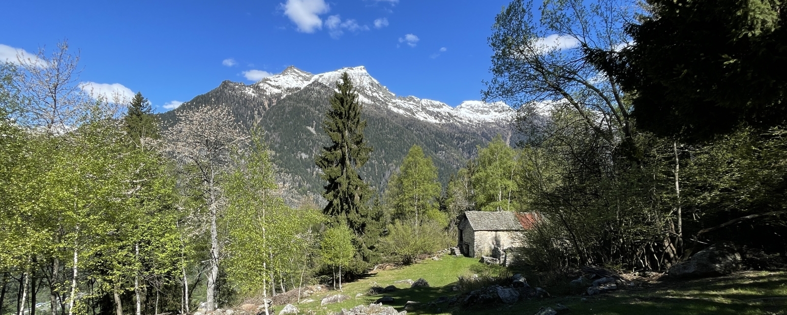 Vers l’Alpe Colla