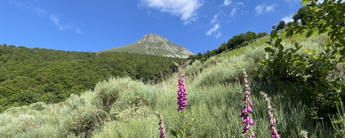 Puy Griou et Téton de Vénus